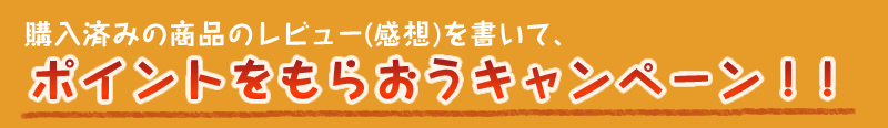 購入済みの商品のレビュー（感想）を書いて、ポイントをもらおうキャンペーン！！