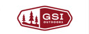 GSI